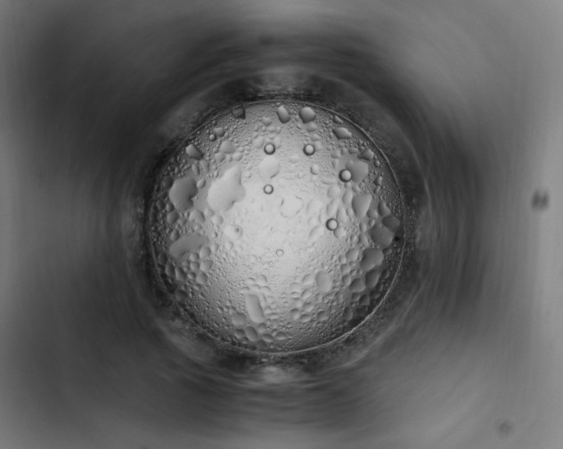 X0000103500737200809121738