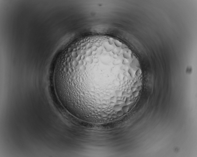 X0000103500738200809121738