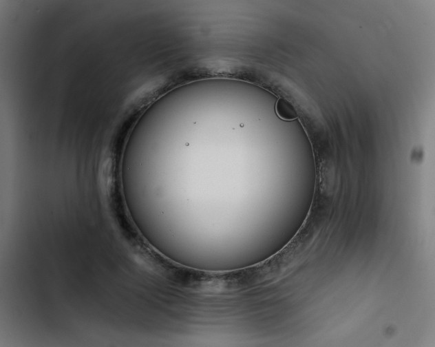 X0000103500740200809121738