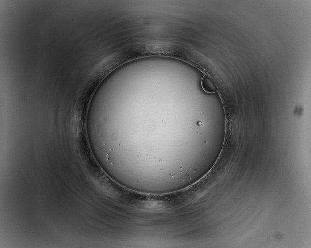 X0000103500741200809121738