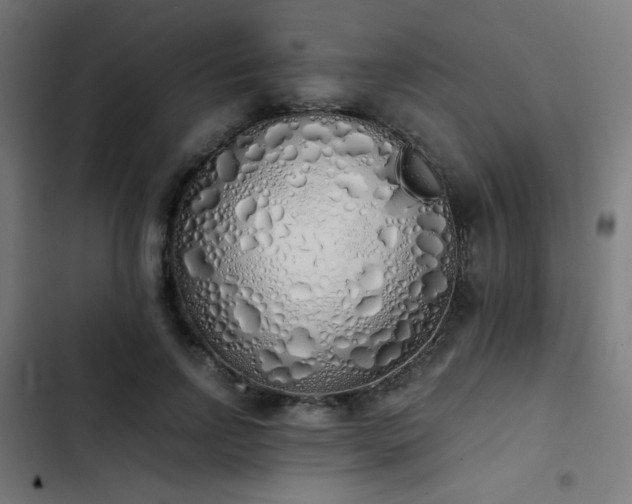 X0000103500742200809121738