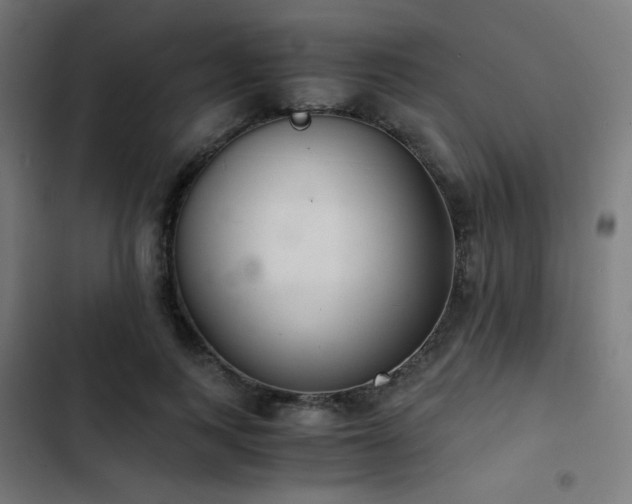 X0000103500743200809121738