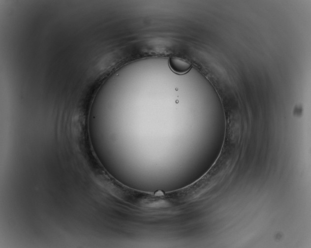 X0000103500747200809121738