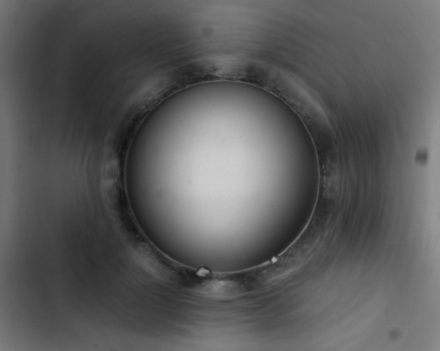 X0000103500748200809121738