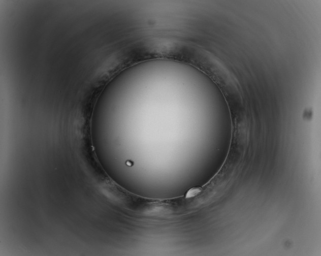 X0000103500750200809121738