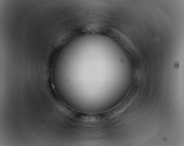 X0000103500751200809121738