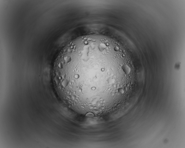 X0000103500757200809121738