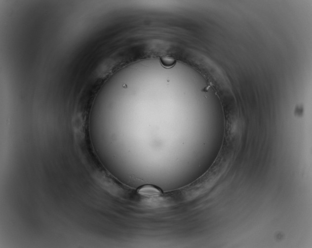 X0000103500759200809121738