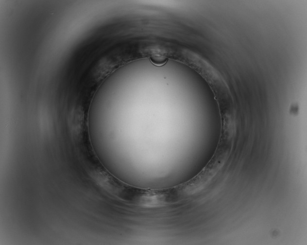 X0000103500760200809121739