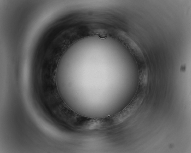 X0000103500764200809121739