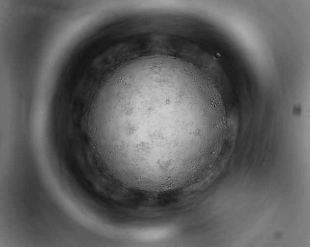 X0000103500765200809121739