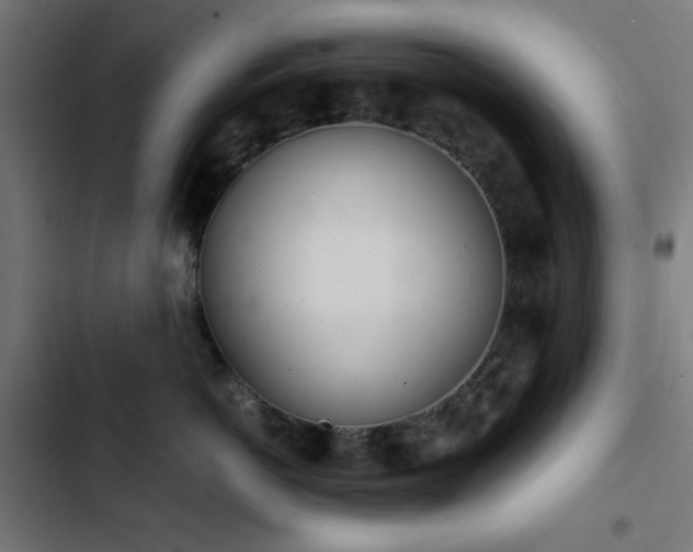 X0000103500766200809121739