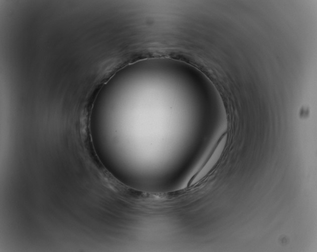 X0000103500768200809121739