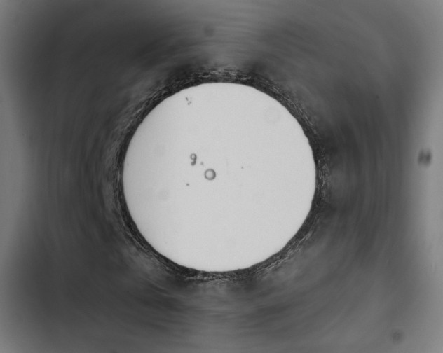 X0000103500769200809121738