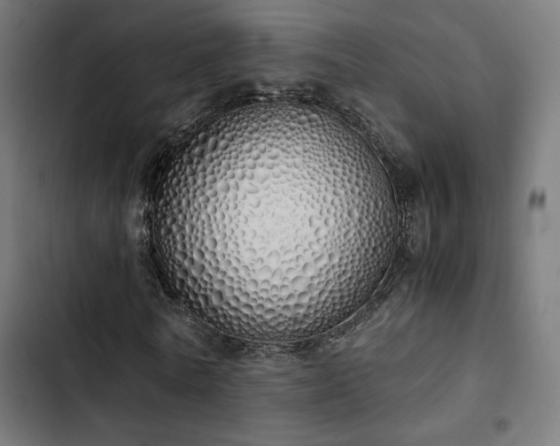 X0000103500770200809121738