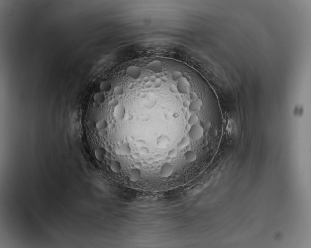 X0000103500771200809121738