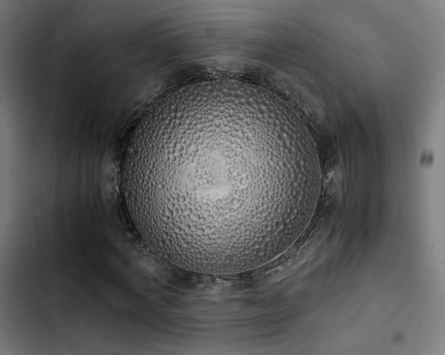 X0000103500772200809121738