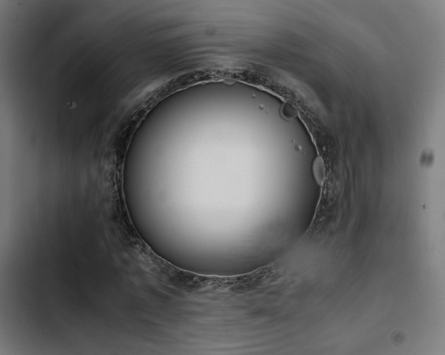 X0000103500773200809121738