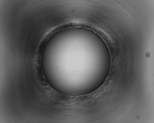 X0000103500776200809121738