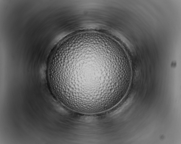 X0000103500778200809121737