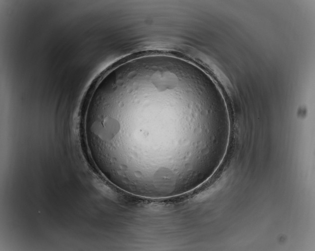 X0000103500779200809121737