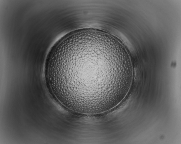 X0000103500780200809121737