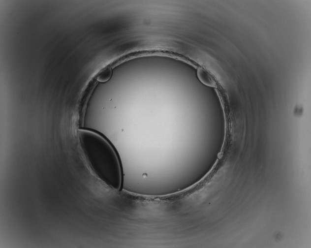 X0000103500781200809121737