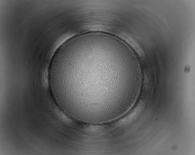 X0000103500782200809121737