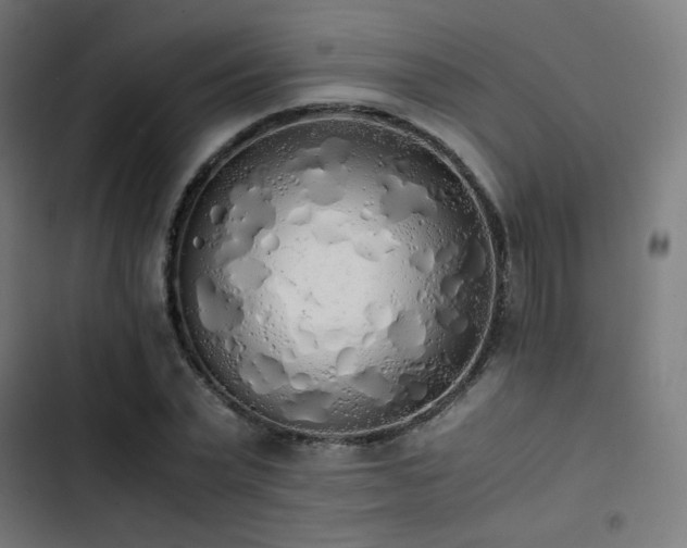 X0000103500783200809121737