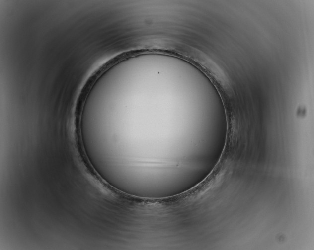 X0000103500784200809121737