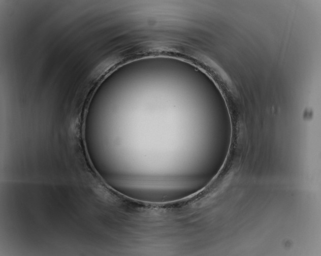 X0000103500785200809121737