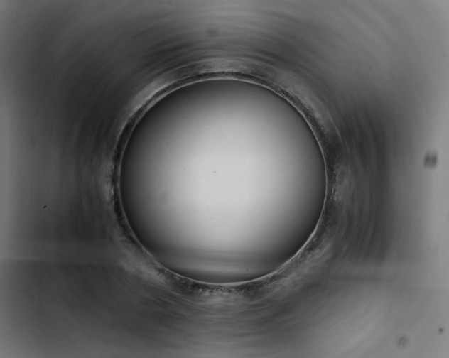 X0000103500786200809121737