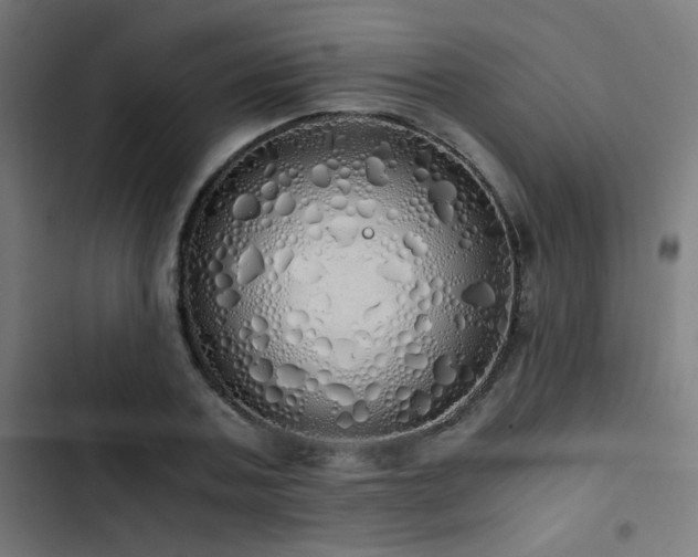 X0000103500787200809121737