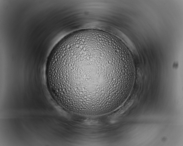 X0000103500788200809121737