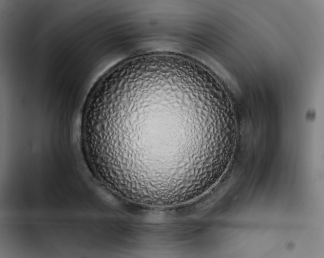 X0000103500790200809121737