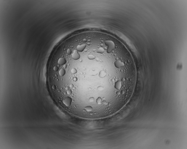 X0000103500791200809121737