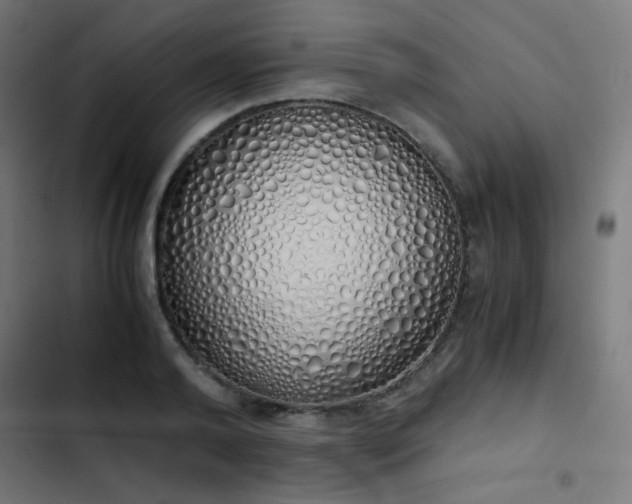 X0000103500792200809121737