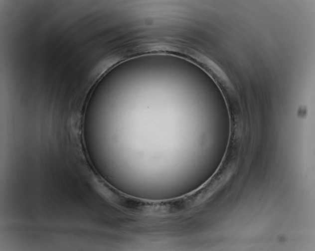 X0000103500793200809121737