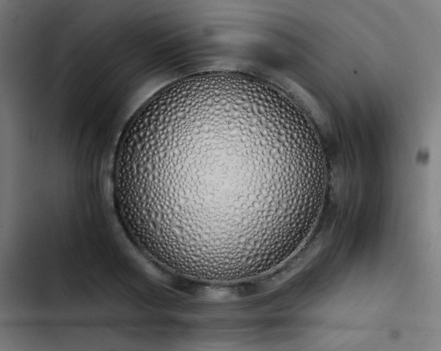 X0000103500794200809121737