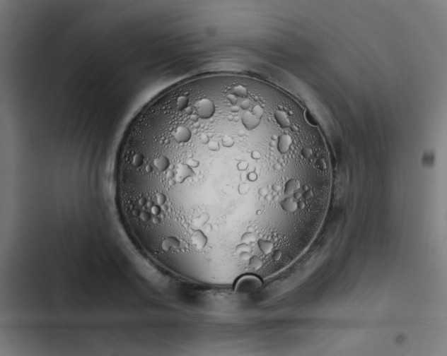 X0000103500795200809121737