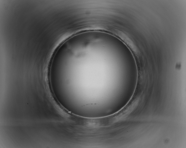 X0000103500797200809121737