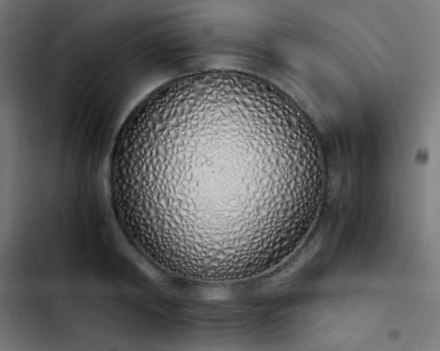 X0000103500798200809121737