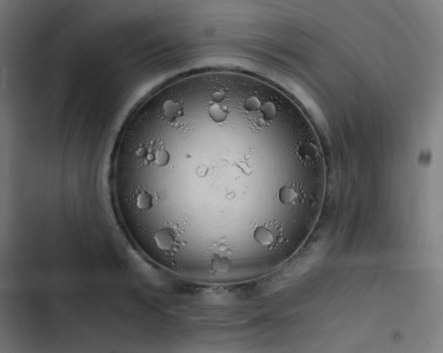 X0000103500799200809121737