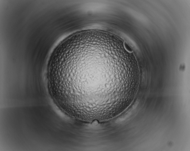 X0000103500800200809121737