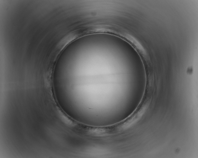 X0000103500801200809121737