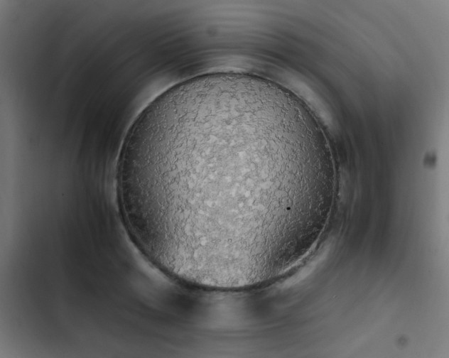 X0000103500802200809121737