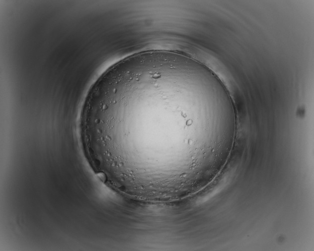 X0000103500803200809121737