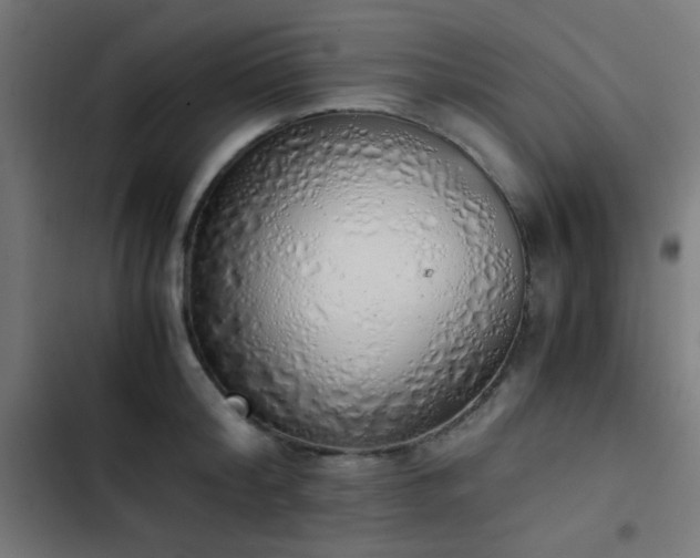 X0000103500804200809121737