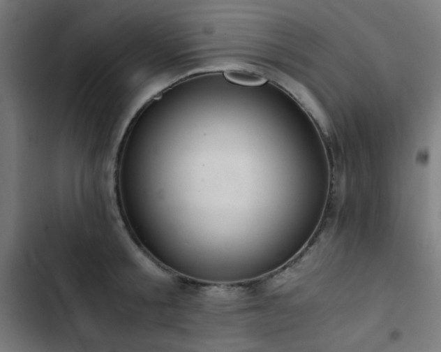 X0000103500805200809121737