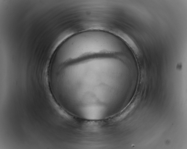 X0000103500806200809121737